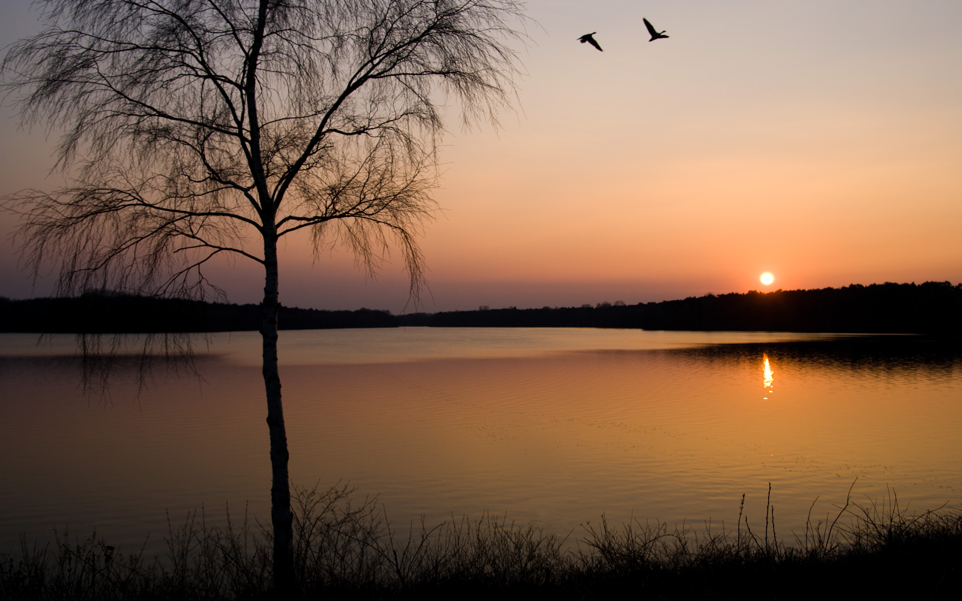 Wallpapers widescreen HQ - Fonds d ecran large HD - 0302